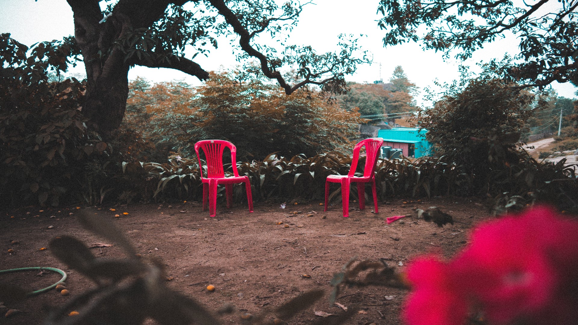 An image of two empty chairs in a forest