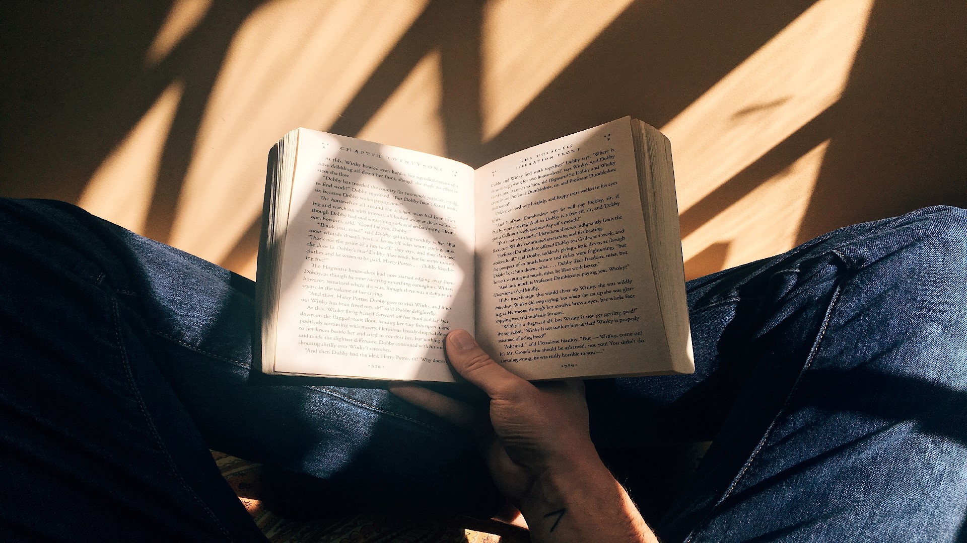 An Image of a person reading a book