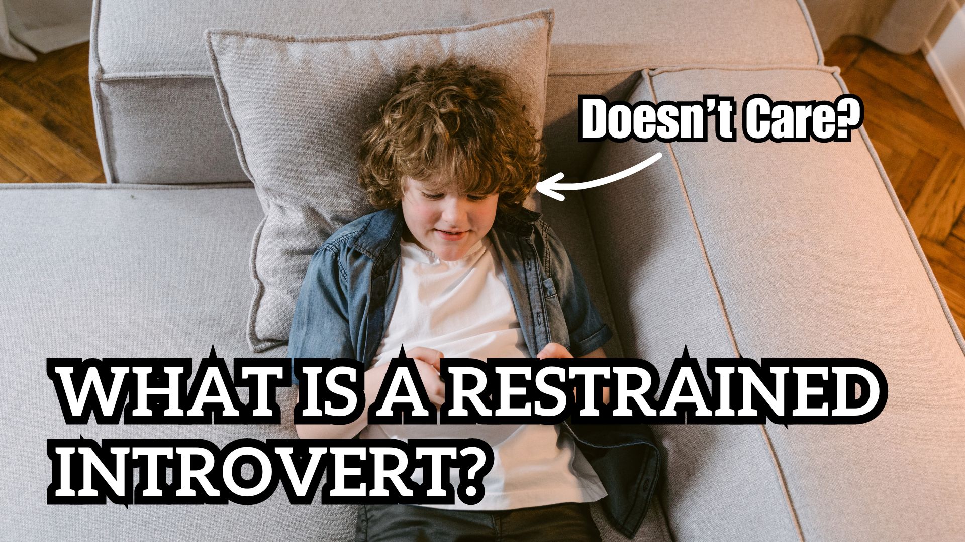 an image showing what a restrained introvert is