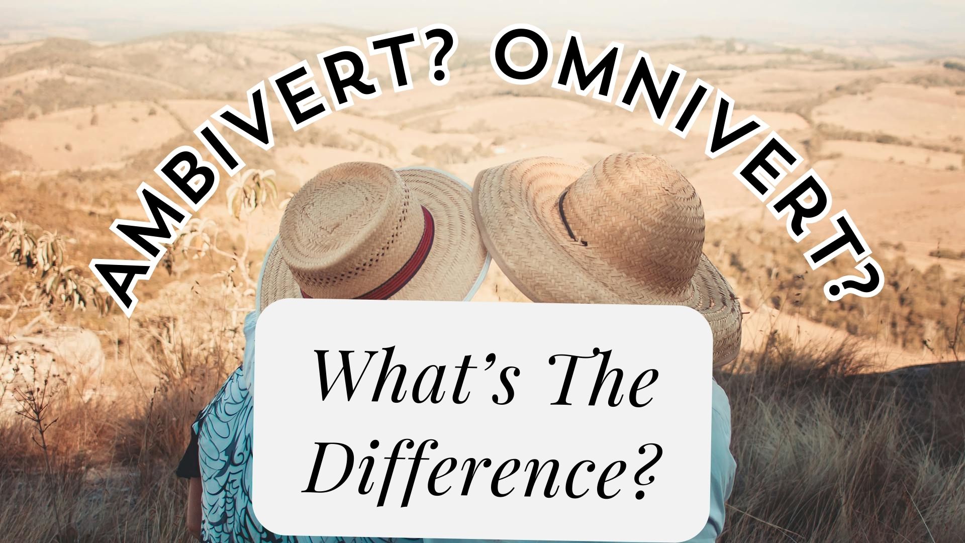 ambivert vs omnivert