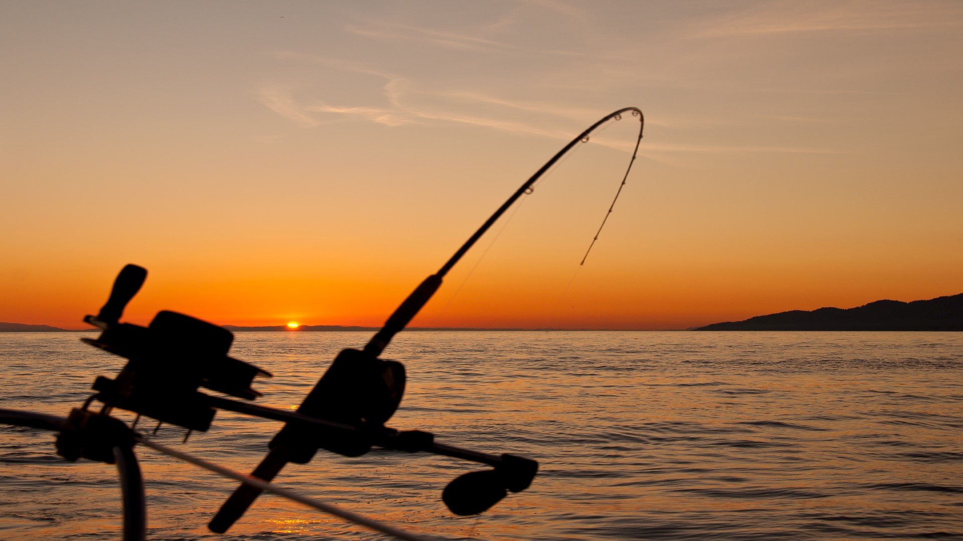 An Image of a fishing rod against a sunset