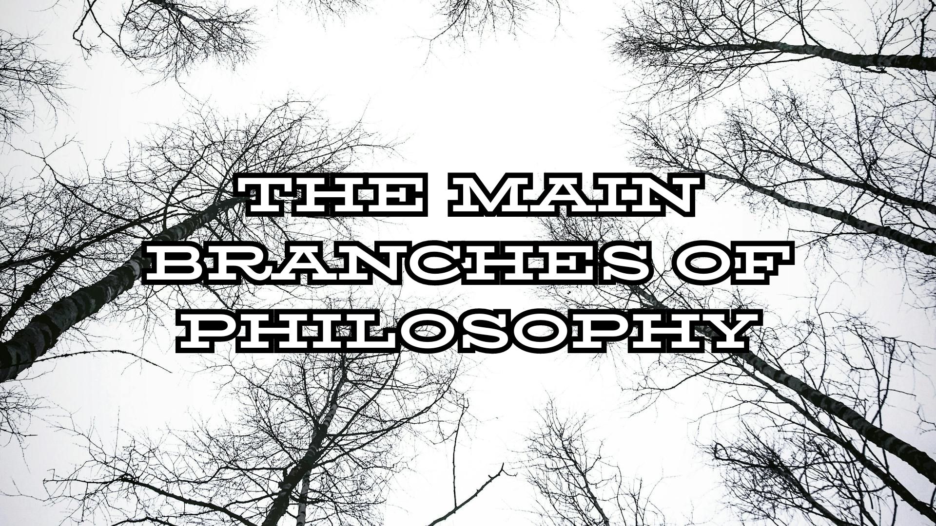 What Are The Main Branches Of Philosophy?